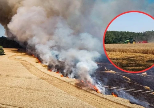 Gigantyczny pożar pod Reczem. Ogień strawił blisko 60 ha pszenicy
