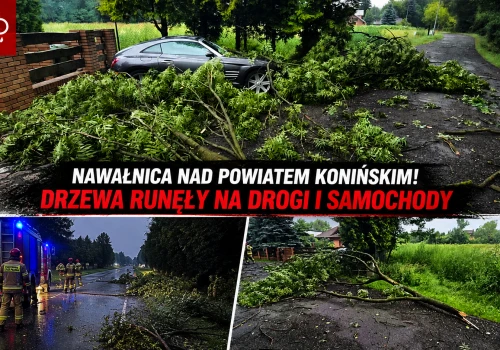 Nocna nawałnica uderzyła w Wielkopolskę. Strażacy ruszyli do akcji.