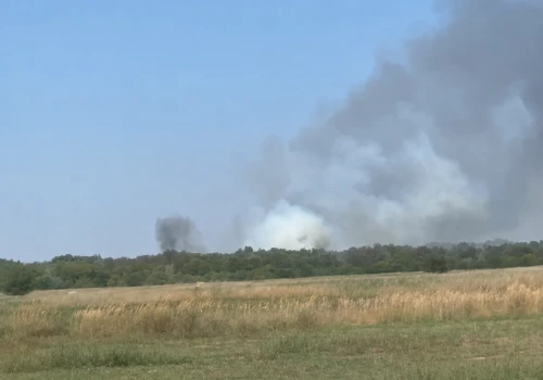 Pożar lasu w Puławach. Ogień dotarł w pobliże Zakładów Azotowych