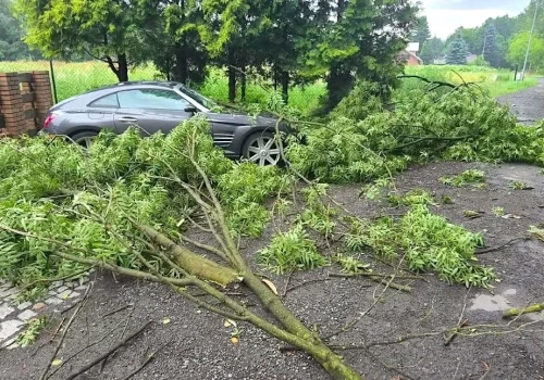 Burzowa noc w powiecie konińskim. Strażacy interweniowali już 12 razy