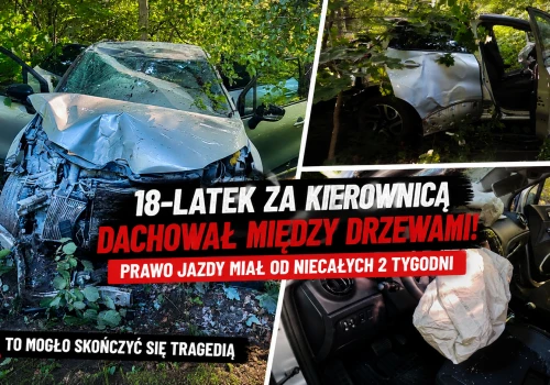 18-latek miał prawo jazdy od niespełna dwóch tygodni. Jazdę zakończył dachowaniem między drzewami