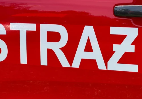 Pożar lasu tuż przy Grupie Azoty Puławy. Do akcji ruszyły liczne zastępy