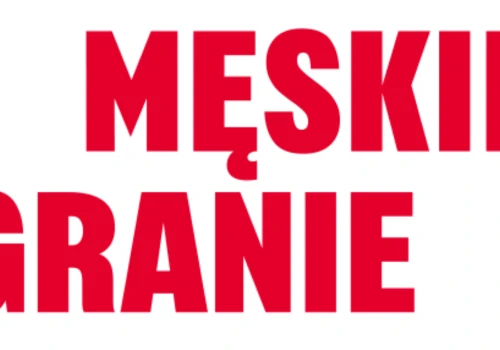 Afera po Męskim Graniu! Fani wściekli. Organizatorzy wydali oświadczenie!