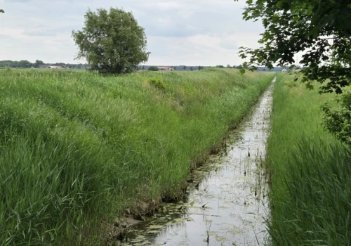 Retencja glebowa priorytetem dla rolnictwa. Na program przeznaczono 800 mln zł