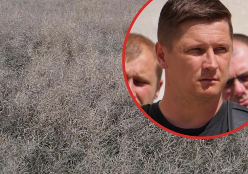 Grad zabrał plon, a problem dopiero się zaczyna. „Czwarty raz będę uprawiał pole”