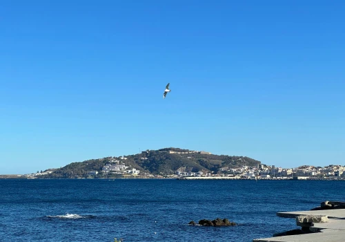 Ceuta, Lampedusa… gasimy pożary, zamiast ubić podpalacza