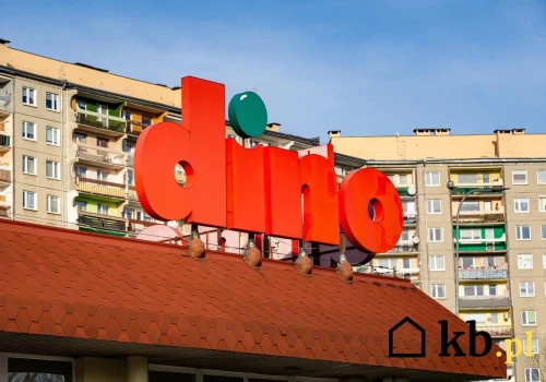 Aż trzy czekolady za darmo w Dino! Gigantyczna promocja porywa tłumy