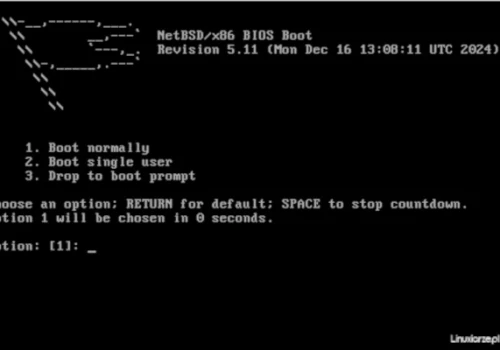 NetBSD 11.0