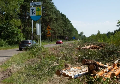 Pracują nad tymczasową organizacją ruchu. Trasa z Jaworzna do Bukowna może być całkowicie zamknięta