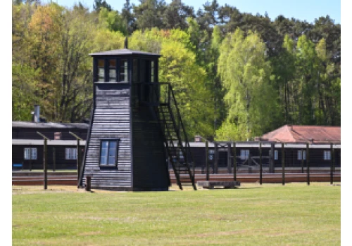Muzeum Stutthof przygotowało wystawę online o dzieciach urodzonych w obozie