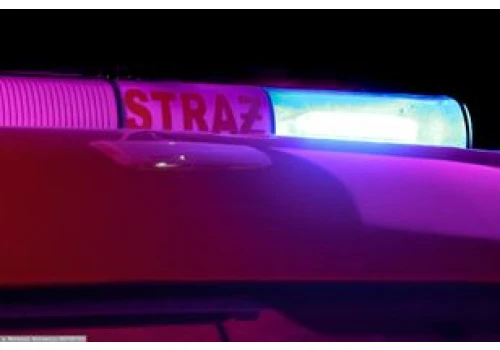 Koszmar na działkach w Gdańsku. Dwie osoby zginęły w pożarze