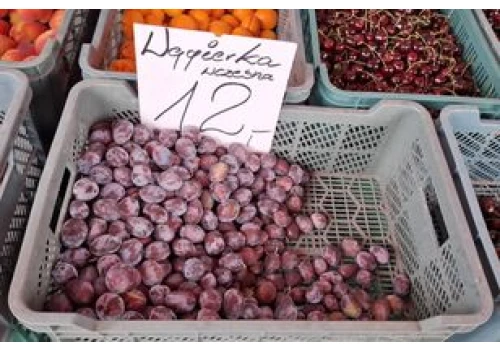 Naturalny ratunek dla zapchanych jelit. Zjedz rano, a błyskawicznie poczujesz ulgę