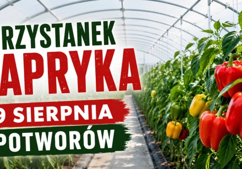 Potworów znów stanie się stolicą papryki. Przystanek PAPRYKA połączy producentów i ekspertów