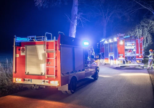 Pożar altany na terenie ogródków działkowych. Znaleziono dwa zwęglone ciała