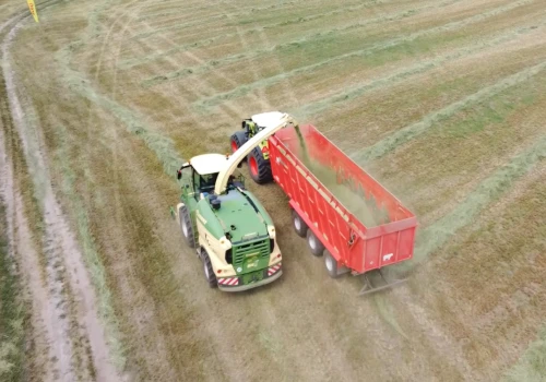 1600 ha pod pasze dla bydła. Tak zbierają zielonki w GR Jachimowski