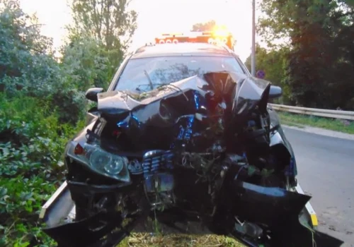 Siedmioro pijanych Ukraińców w Audi, kobieta w bagażniku. Kierowca rozbił auto o drzewo.