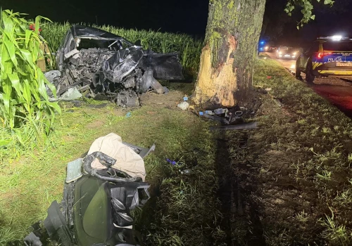 Tragiczny wypadek w Wielkopolsce. 24-letni kierowca zginął po uderzeniu w drzewo
