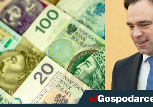 Katastrofa w podatkach! Domański wszędzie pod kreską