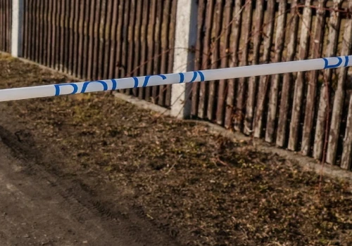 Najpierw fragment dłoni, potem szczątki w zaroślach. Makabryczne odkrycie w Ciechanowie