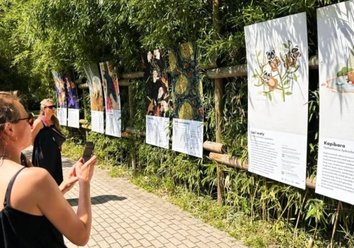 Twórcy pokazują swoje prace w opolskim zoo. Czegoś takiego jeszcze tam nie było