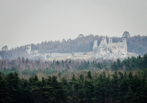 Podzamczańska nowinka – Skała za Boiskiem