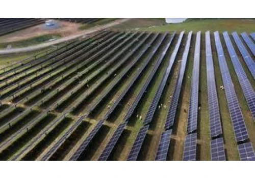 Postawili je koło farmy solarnej w USA. Teraz stanowią 