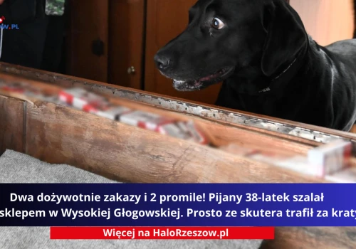 Pies nagle zatrzymał się przy kamperze. To, co znaleźli w środku, zaskoczyło nawet pograniczników