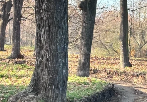 Pożyczą, żeby odzyskać pieniądze
