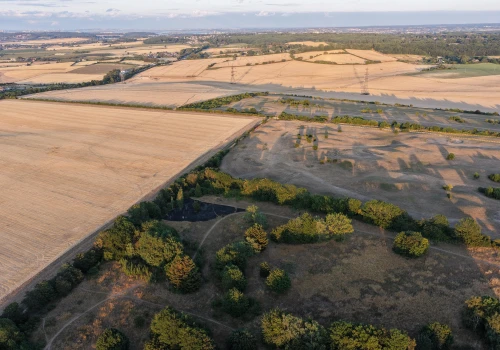 Przewodniczący National Farmers Union ostrzega, że przedłużająca się susza w Wielkiej Brytanii doprowadzi do niedoboru niektórych produktów spożywczych