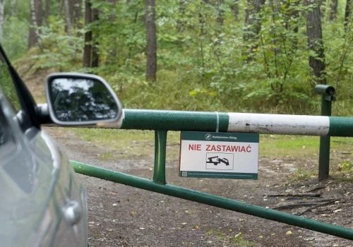 Nadleśnictwo apeluje do kierowców. Oto czym grozi zastawianie rogatek