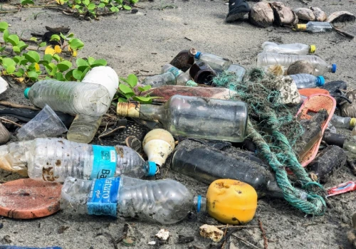 Naukowcom udało się zamienić plastik w kwasy organiczne. Ich metoda działa nawet gdy tworzywa są zanieczyszczone