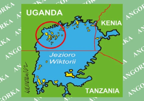 84 wyspy pełne tajemnic. Niezwykły archipelag Ugandy