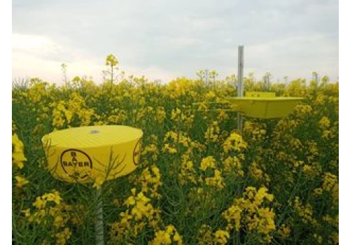 Certyfikowana produkcja bez dopłat? PZPRZ ostrzega