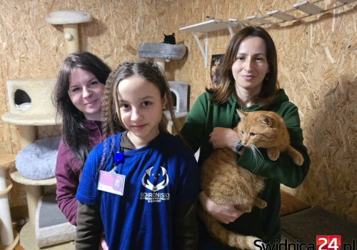 Dramatycznie spadły adopcje. Schronisko zaprasza na dwa Dni Wielkich Serc