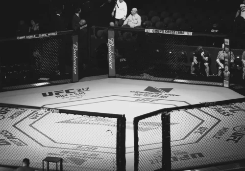 Nie żyje popularny zawodnik UFC. 34-latek zmarł na zawał serca
