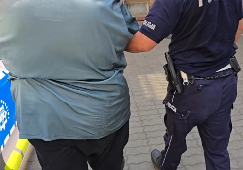 Chciał uniknąć mandatu. Teraz grozi mu nawet 10 lat więzienia