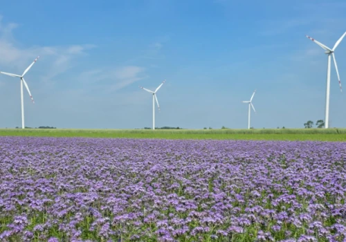 ENGIE wprowadza pierwszą w Polsce farmę wiatrową na rynek usług bilansujących