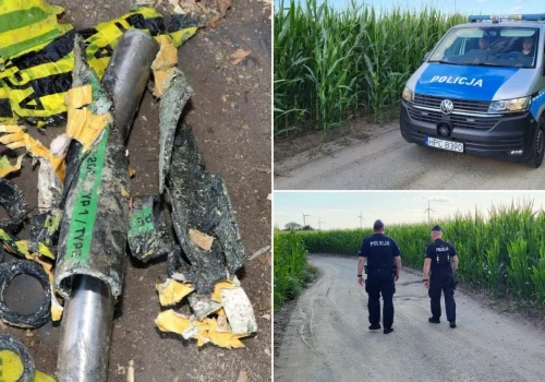 „Złote kolby” to koszmar rolników. Policja patroluje pola kukurydzy