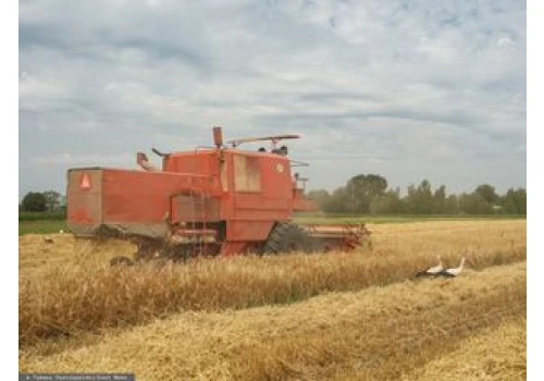 11-latek zginął pod kołami kombajnu. Kierowca usłyszy zarzuty