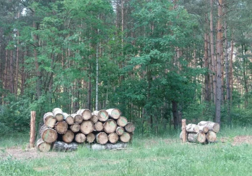 Rolnik ma drewno za płotem, ale musi je kupić. Izba chce zmiany prawa