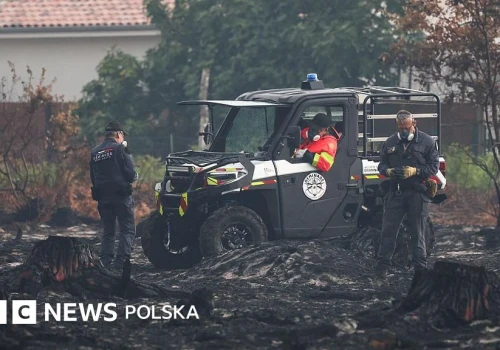 Pożary we Francji odsłoniły setki niewybuchów z II wojny światowej w jednej z miejscowości