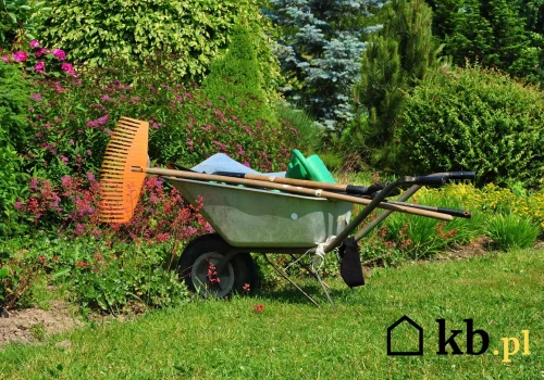 Ściółkowanie azjatyckie podbija ogrody. Rośliny rosną szybciej i lepiej plonują