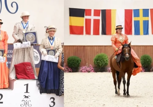 Reprezentacja stadniny koni Arabka z Dziećkowic obsypana medalami