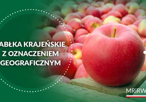 Kolejny polski produkt regionalny. Jabłka krajeńskie z unijną ochroną