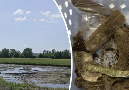 Skarb sprzed 3 tys. lat na czeskich bagnach. Wskazuje na pradawny rytuał