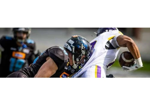 Panthers Wrocław zagrają z niepokonanymi Vienna Vikings. Wielki sprawdzian w Wiedniu