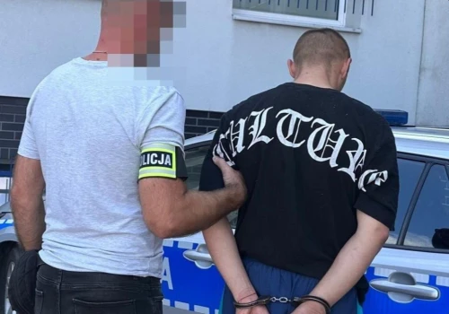 Wodzisław Śląski: 35-letni Ukrainiec popchnął kobietę, a gdy ta upadła, wyrwał jej telefon
