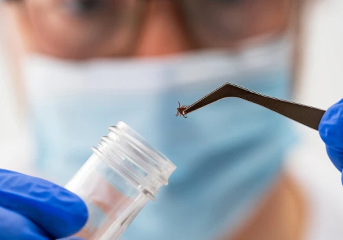 Badanie za 2 mln zł. Naukowcy w Białymstoku szukają sposobu na szybszą diagnostykę tych chorób