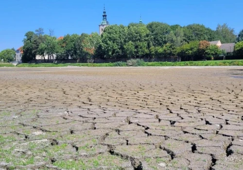 Wysychają stawy, rośnie ryzyko pożarów. Susza uderza nie tylko w rolników