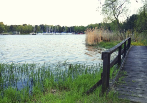 Morze środkowej Polski wysycha w oczach. Zostało wielkie bagno